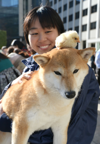 f:id:ulpen:20171221000724p:image
