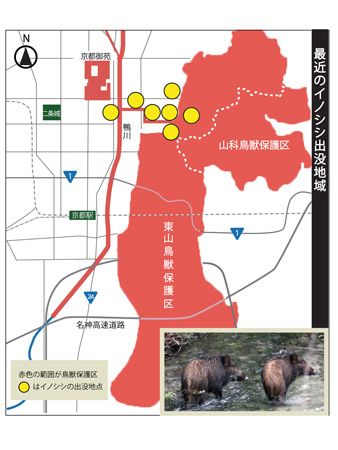 f:id:ulpen:20180106000652j:image f:id:ulpen:20180106000652j:image