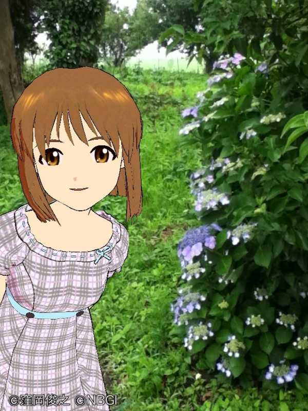 f:id:ultimei:20120617033459j:image f:id:ultimei:20120617033459j:image