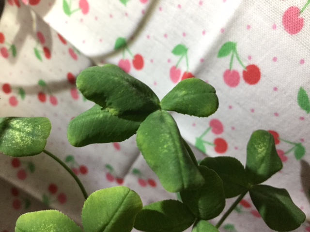 f:id:ultimei:20151210045118j:plain:w360 f:id:ultimei:20151210045118j:plain:w360