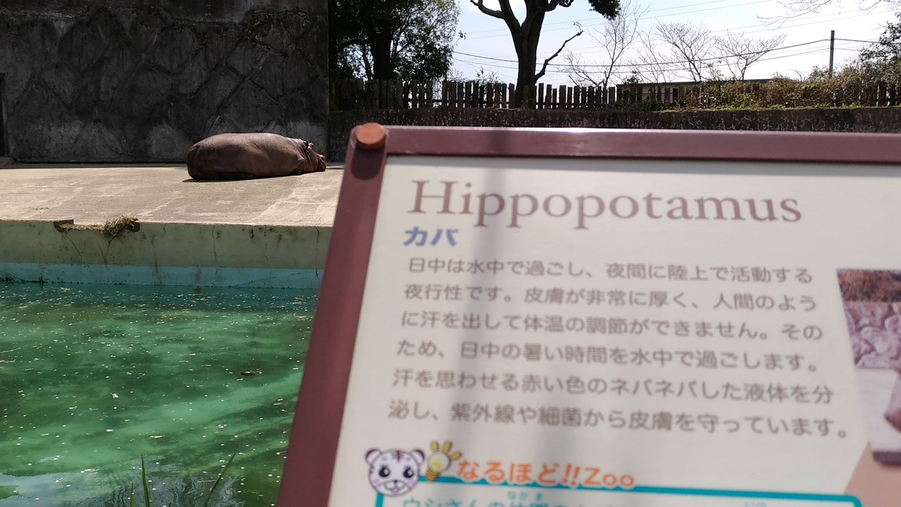 f:id:ultimei:20170421210926j:plain:w640 f:id:ultimei:20170421210926j:plain:w640