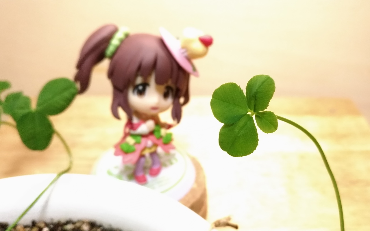 f:id:ultimei:20180610163247j:plain