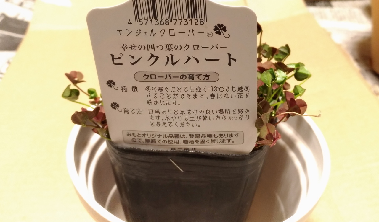 f:id:ultimei:20180610163330j:plain f:id:ultimei:20180610163330j:plain