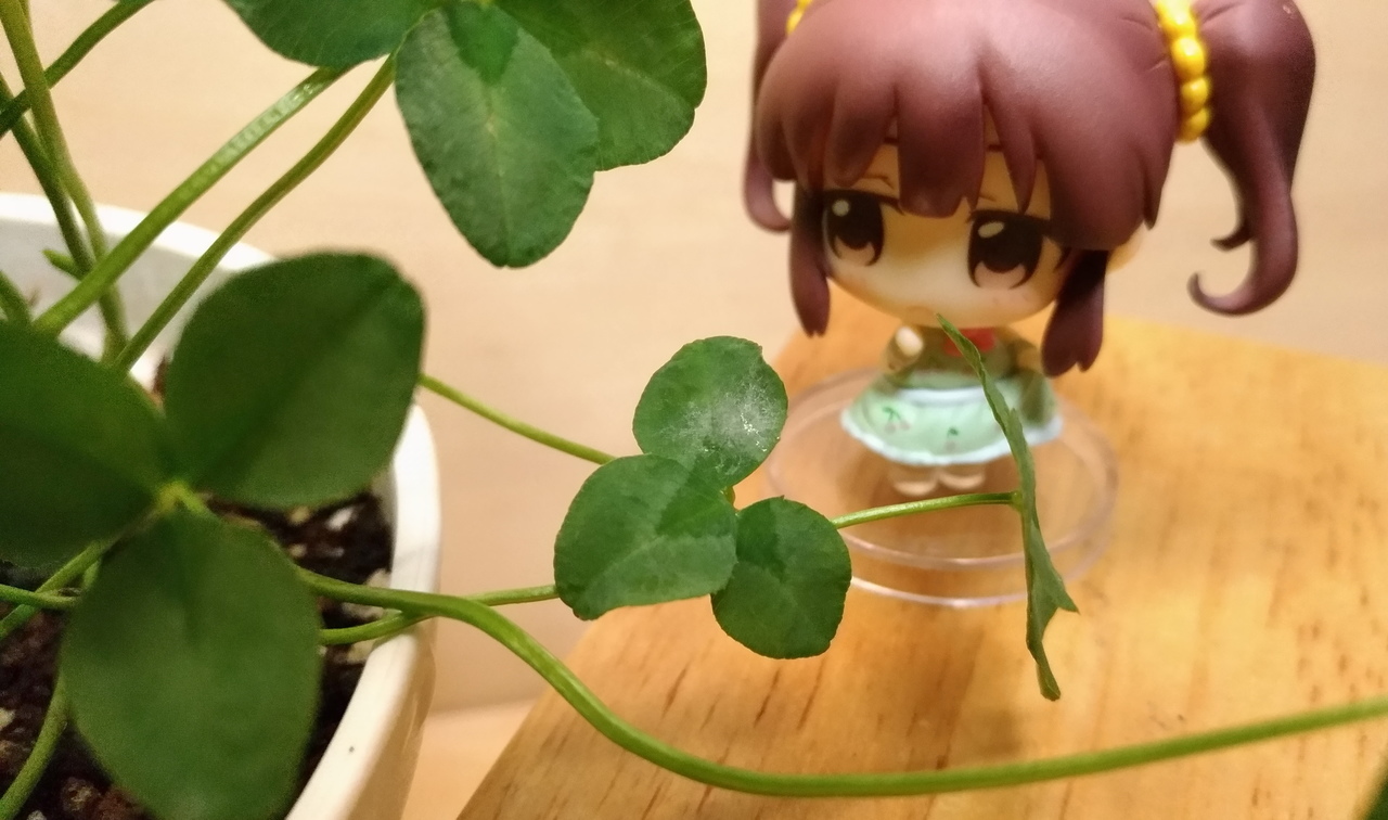 f:id:ultimei:20180610163337j:plain