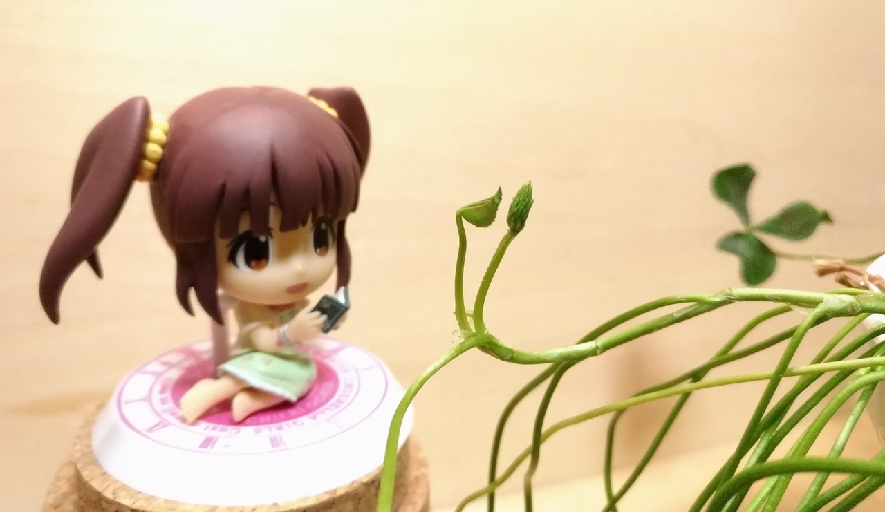 f:id:ultimei:20180610163402j:plain