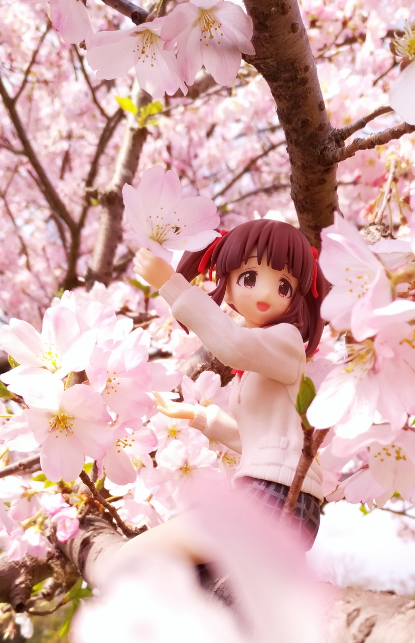 f:id:ultimei:20190329033102j:plain f:id:ultimei:20190329033102j:plain
