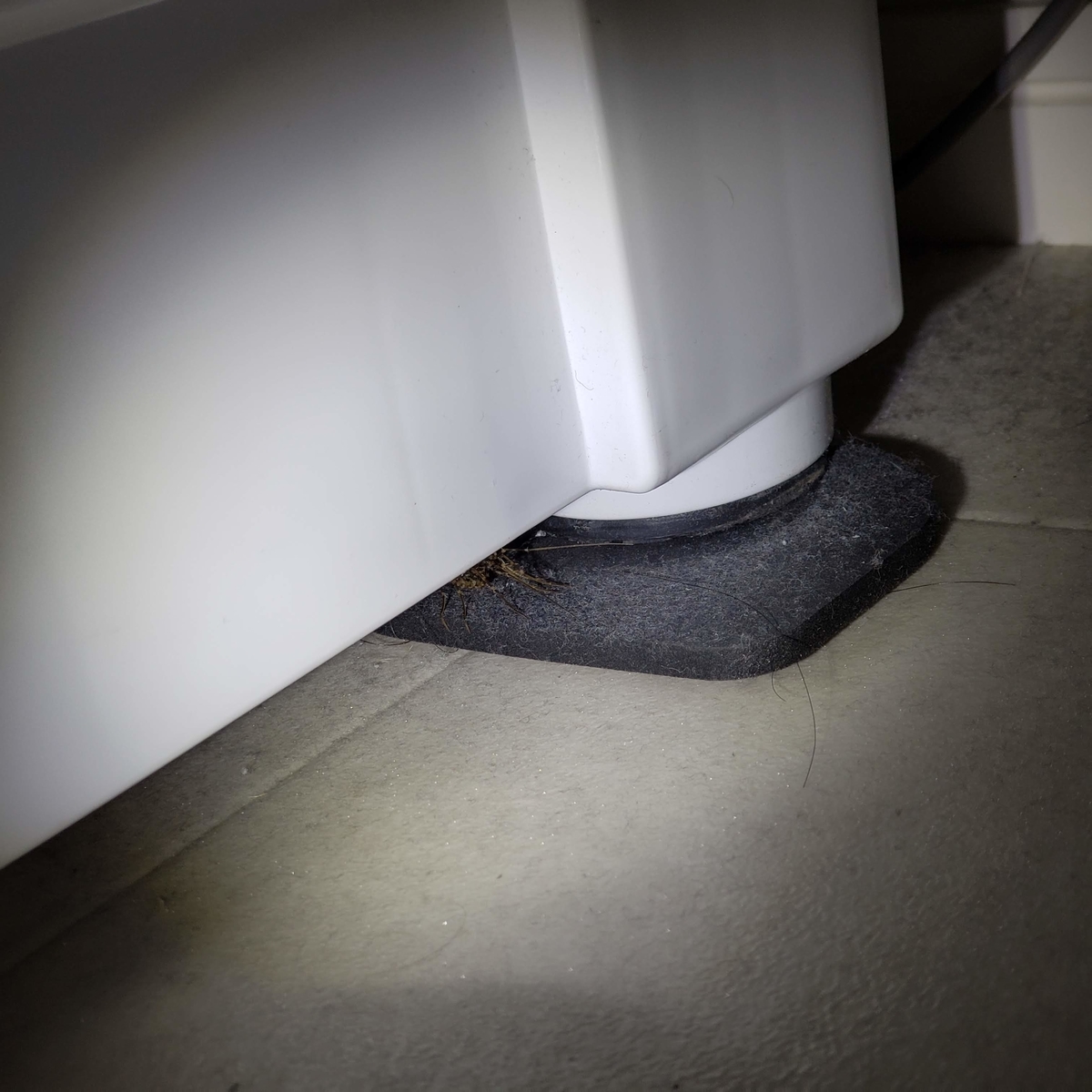 新築でもやはり出るのか 家建ったよ