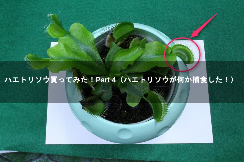 f:id:ultracisco7:20170910203321j:plain f:id:ultracisco7:20170910203321j:plain