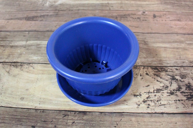 f:id:ultracisco7:20190303200030j:plain