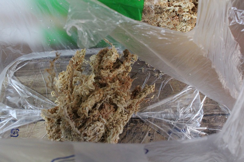 f:id:ultracisco7:20190303200211j:plain