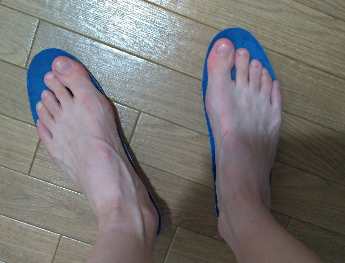 f:id:ultralife:20191014184937j:plain