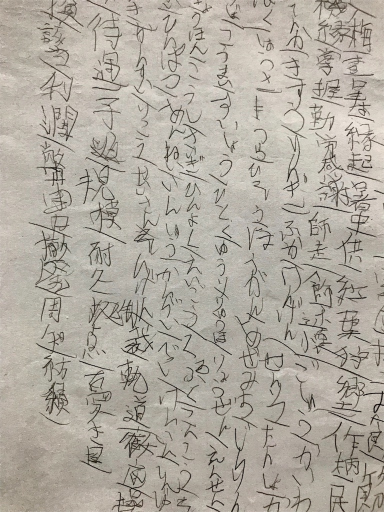 f:id:ultramarathonuma:20190811172919j:image