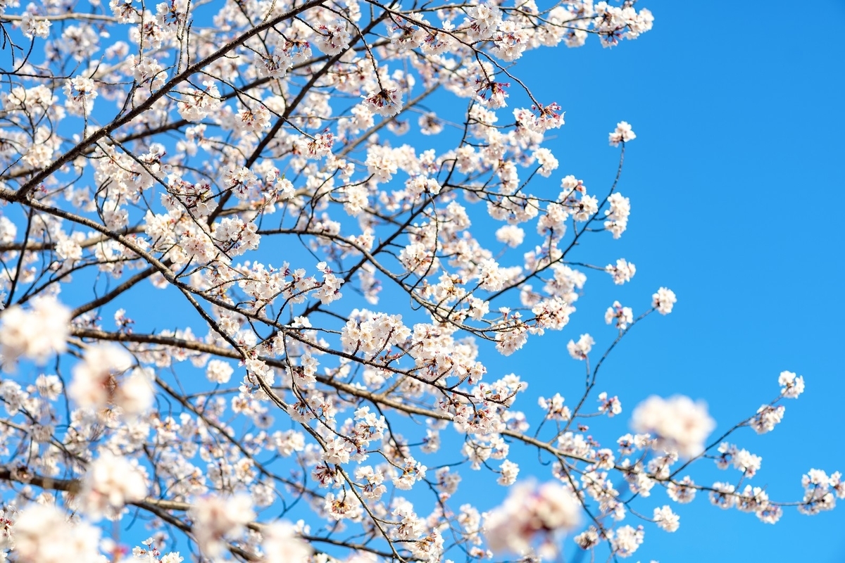 f:id:ultratrail:20190412114111j:plain