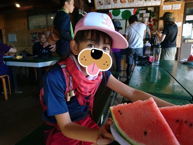 f:id:ultratrail:20190810035708j:plain f:id:ultratrail:20190810035708j:plain