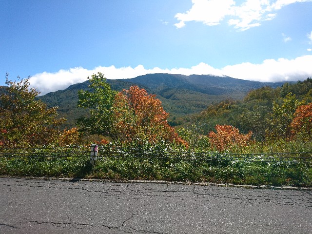 f:id:ultratrail:20191020043302j:image f:id:ultratrail:20191020043302j:image
