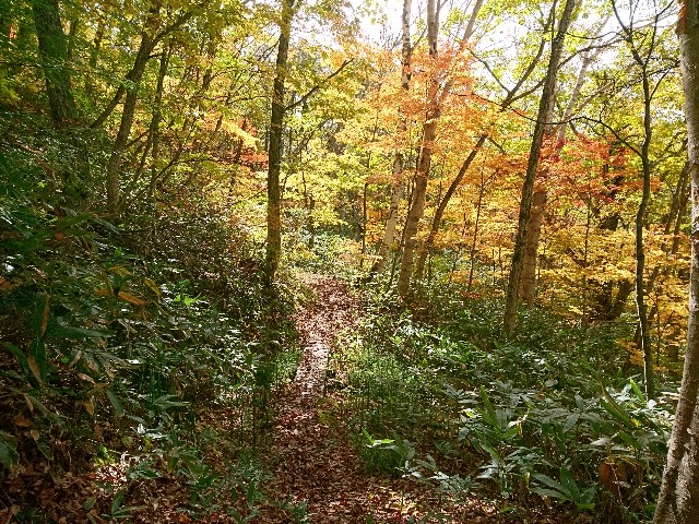 f:id:ultratrail:20191020043306j:image f:id:ultratrail:20191020043306j:image