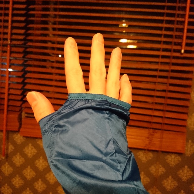 f:id:ultratrail:20210104192034j:image