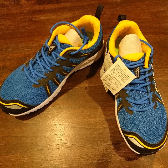 f:id:ultratrail:20210104192106j:image