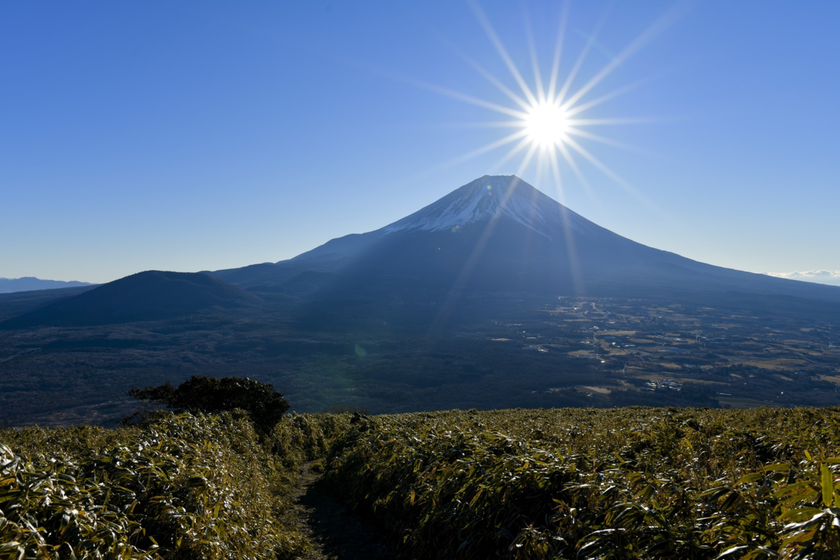 f:id:ultratrail:20210117053631p:plain