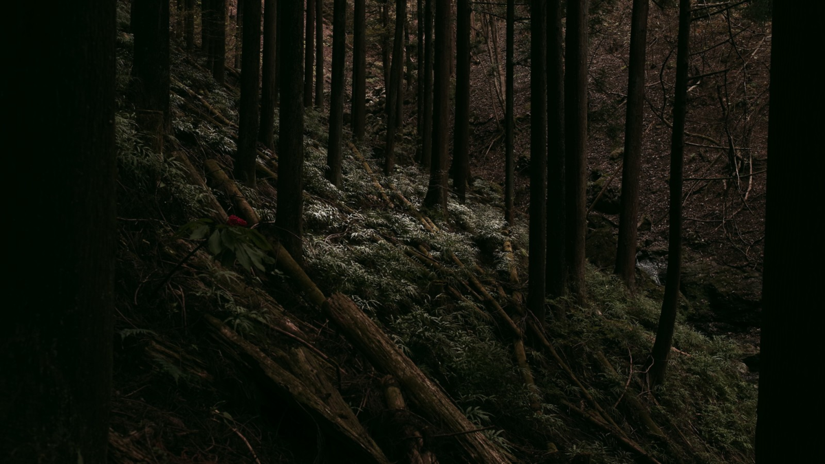 f:id:ultratrail:20210130063547p:plain