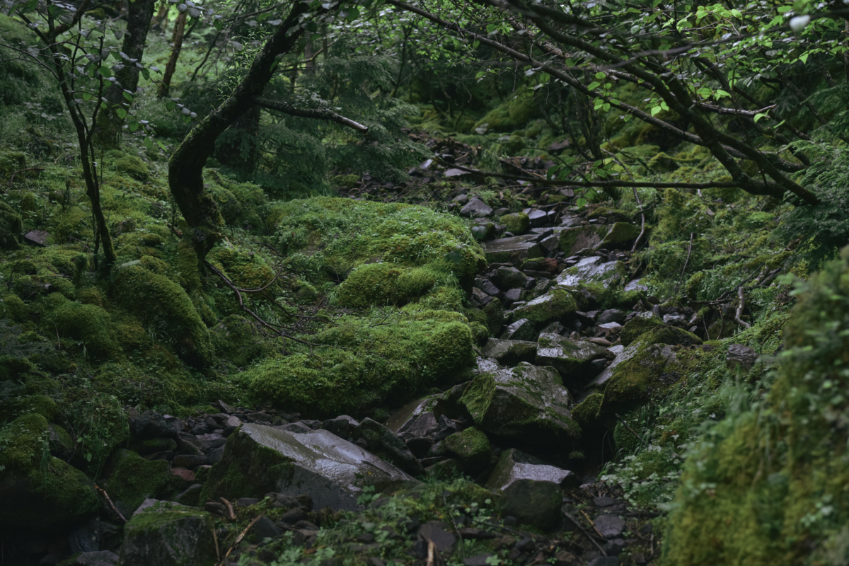 f:id:ultratrail:20210309045847p:plain