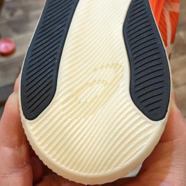 f:id:ultratrail:20210402215727j:plain