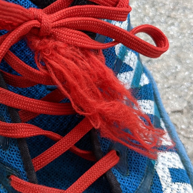 f:id:ultratrail:20210606093029j:image f:id:ultratrail:20210606093029j:image