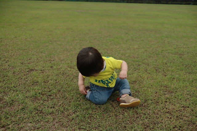 f:id:ultratrail:20210607054557j:plain