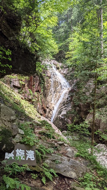 f:id:ultratrail:20210609060229j:image f:id:ultratrail:20210609060229j:image