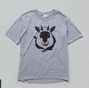 f:id:ultratrail:20210613161911p:plain