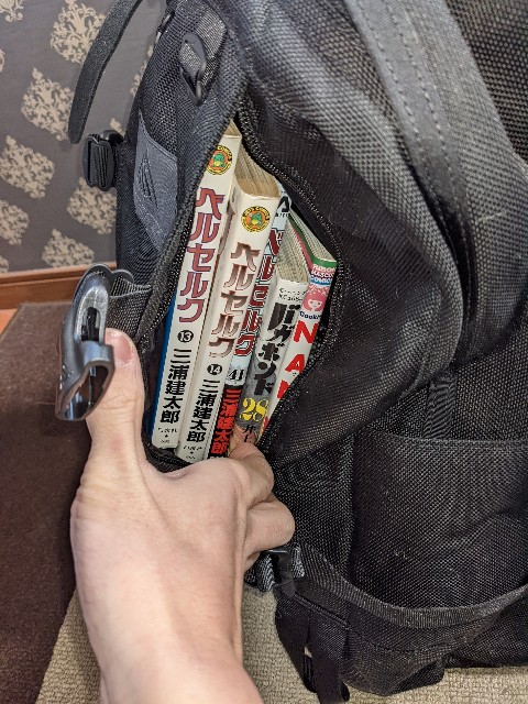 f:id:ultratrail:20220227133716j:plain