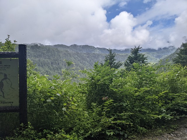 f:id:ultratrail:20220718173855j:image f:id:ultratrail:20220718173855j:image