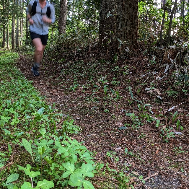 f:id:ultratrail:20230509150659j:image f:id:ultratrail:20230509150659j:image