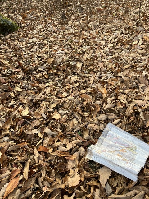 f:id:ultratrail:20231113151645j:image