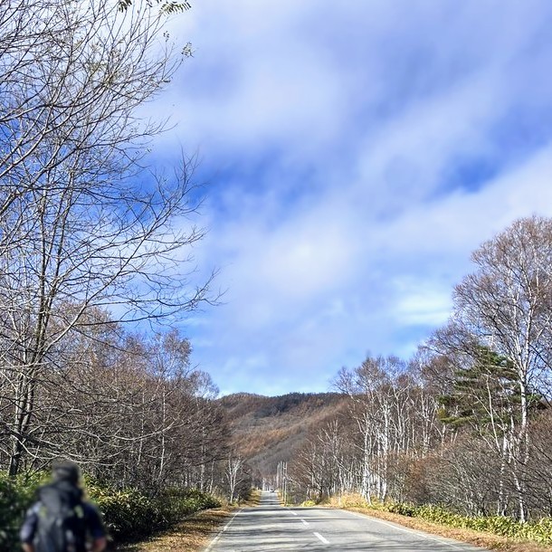 f:id:ultratrail:20231113151648j:image