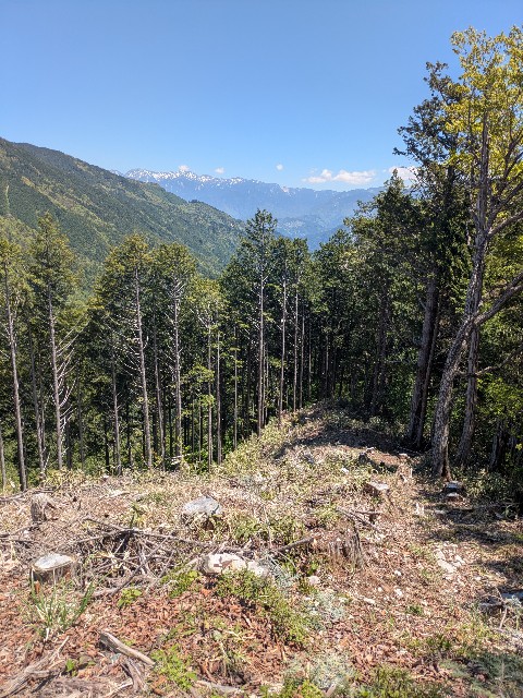 f:id:ultratrail:20250514150008j:image