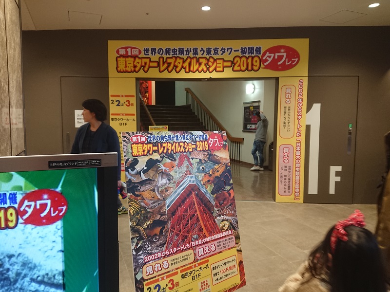 f:id:ultrazone7:20190205124254j:plain f:id:ultrazone7:20190205124254j:plain
