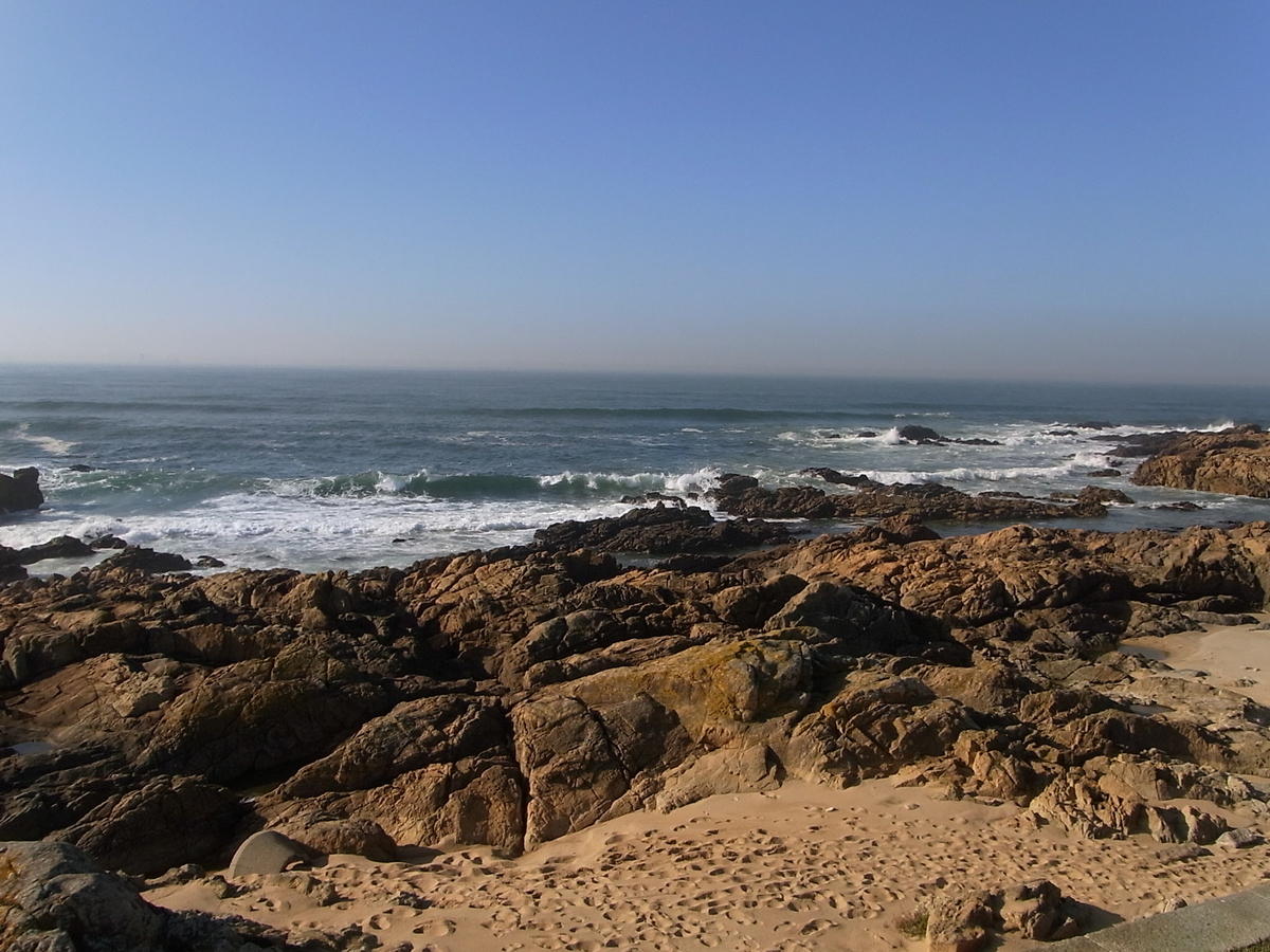 f:id:ulysses0616:20201020205541j:plain