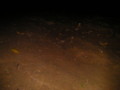 20090516103811