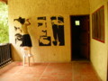 20090520075841