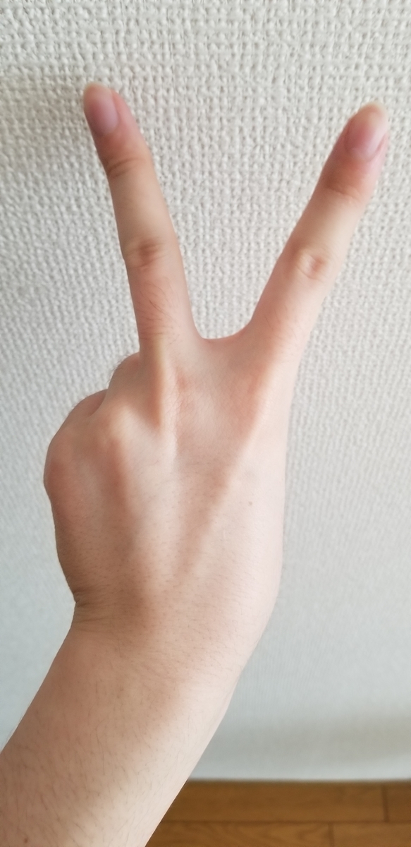 f:id:umaaaji:20190717120742j:plain