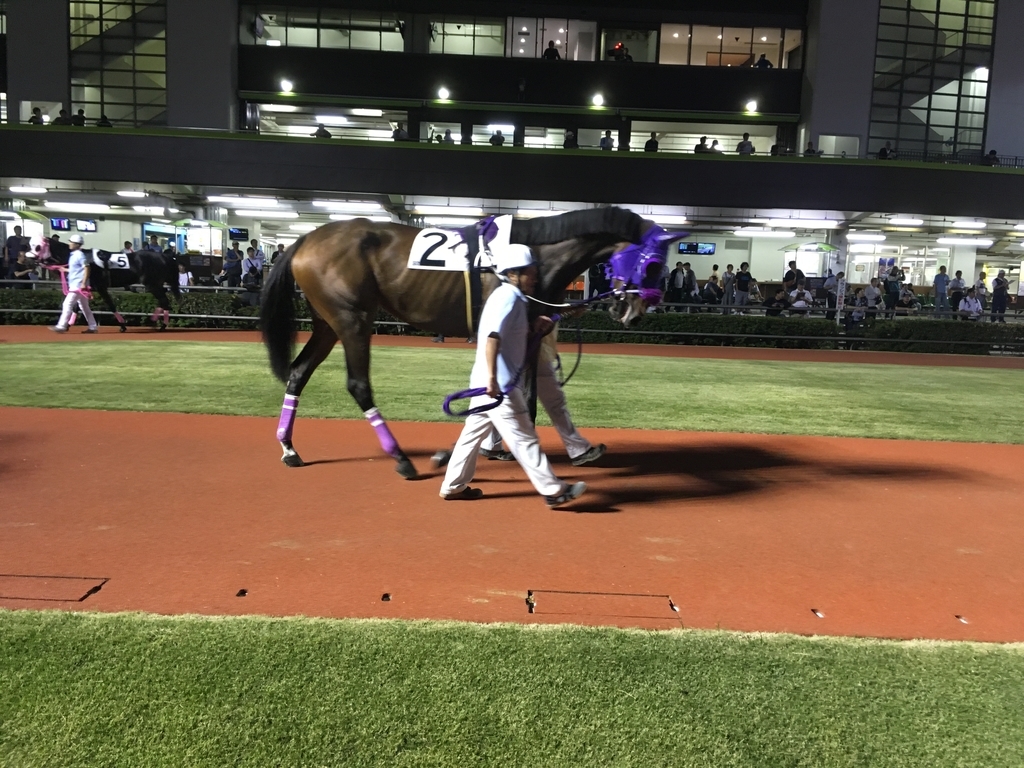 f:id:umabanashi:20181118202435j:plain f:id:umabanashi:20181118202435j:plain