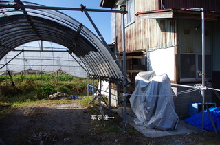 IMGP6660剪定後1.JPG
