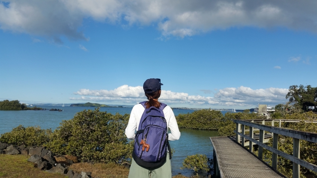 f:id:umaconz:20180615111741j:plain f:id:umaconz:20180615111741j:plain