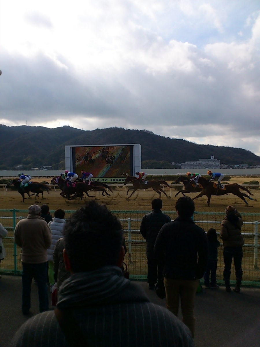 f:id:umagohan:20130103122127j:plain