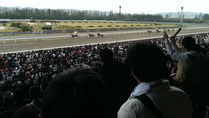 f:id:umagohan:20131104154302j:plain