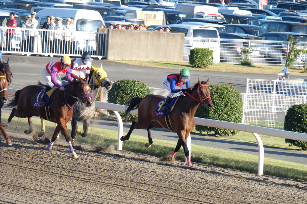 f:id:umagohan:20161103152607j:plain