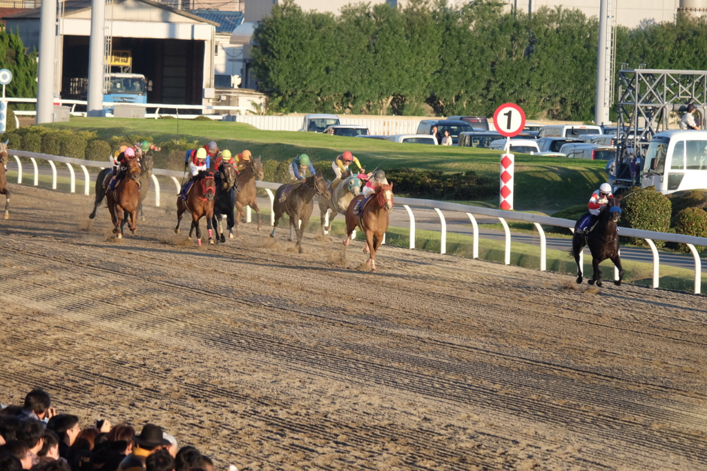 f:id:umagohan:20161103161215j:plain