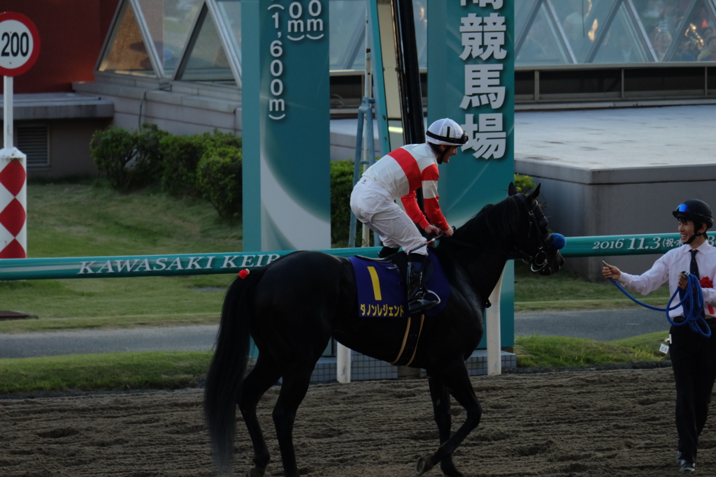 f:id:umagohan:20161103161830j:plain