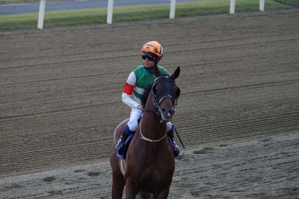 f:id:umagohan:20161103164115j:plain